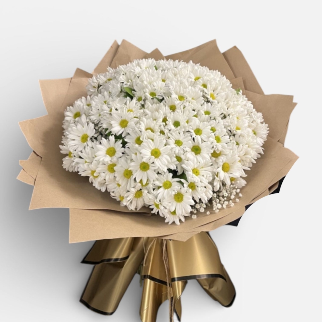 büyük lüx papatya buketi